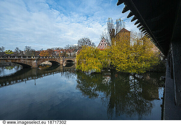 weeping willow tree at the Pegnitz river in Nuremberg