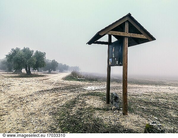 Wegweiser an der Straße und Olivenbäume im Nebel.Pinto. Madrid. Spanien. Europa.