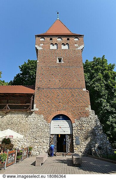 Wehrturm  Stadtmauer  Krakau  Polen  Europa