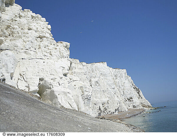 Weiße Kreidefelsen in voller Sonne mit blauem  ruhigem Meer und Möwen  Brighton  East Sussex  UK; Brighton  East Sussex  England