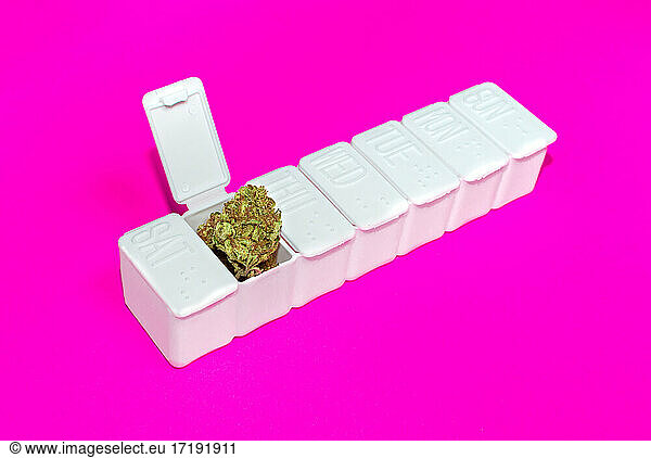 Weiße Pillendose geteilt durch Wochentage voller Marihuana auf rosa Hintergrund. Konzept der medizinischen Cannabis oder alternative Medizin.