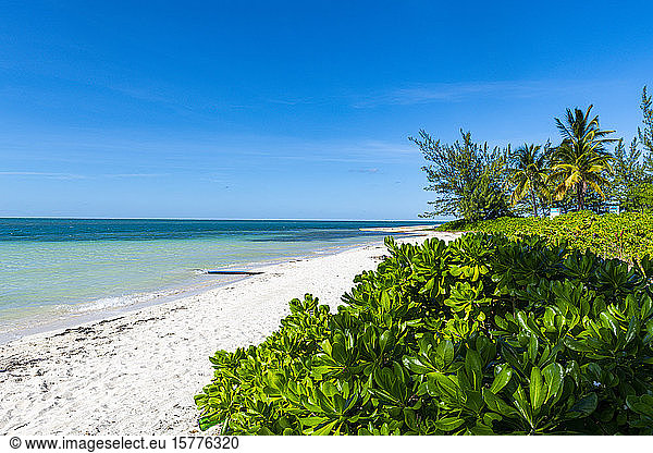 Weißer Sandstrand  Water Cay  Grand Cayman  Kaimaninseln  Karibik  Mittelamerika