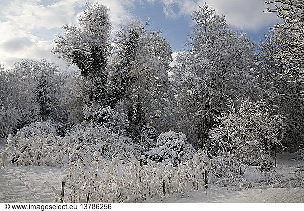 Weißer Winter Schnee Landschaft Landschaft