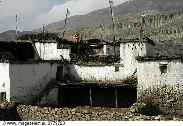 Weiß getünchtes Bauernhaus in Purang bei Muktinath Mustang Annapurna Region Nepal