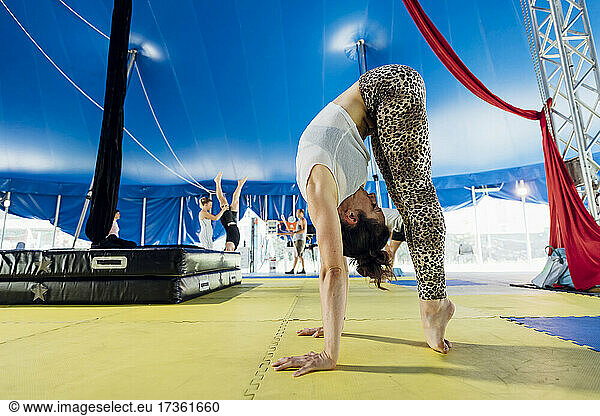 Weibliche Artistin beugt sich im Zirkus auf Zehenspitzen stehend nach vorne