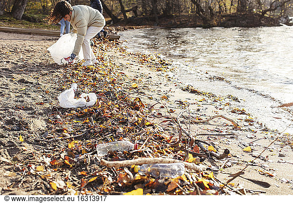 Weibliche Freiwillige sammelt Plastikmüll am See