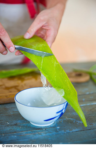 Weibliche Hand kratzt Flüssigkeit vom Aloe-Blatt in einer Werkstatt für handgemachte Seife