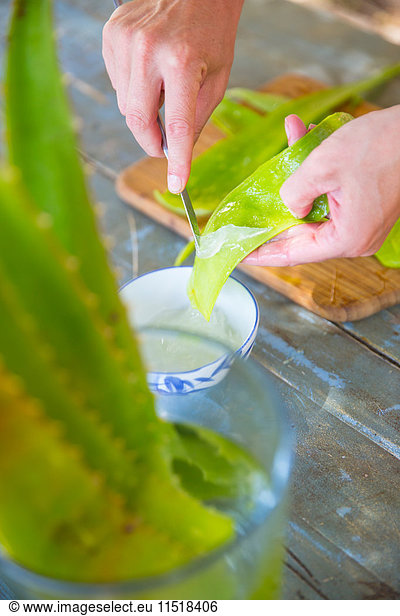 Weibliche Hand kratzt Flüssigkeit vom Aloe-Blatt in einer Werkstatt für handgemachte Seife
