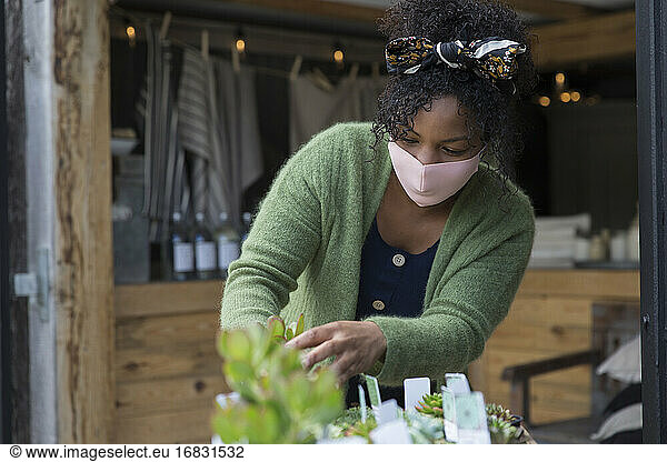 Weibliche Ladenbesitzerin mit Gesichtsmaske  die sich um sukkulente Pflanzen kümmert