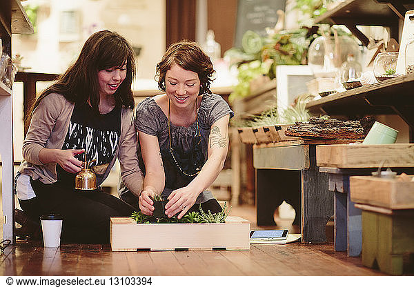 Weibliche Mitarbeiter pflanzen Pflanzen in Kiste im Gartenzentrum