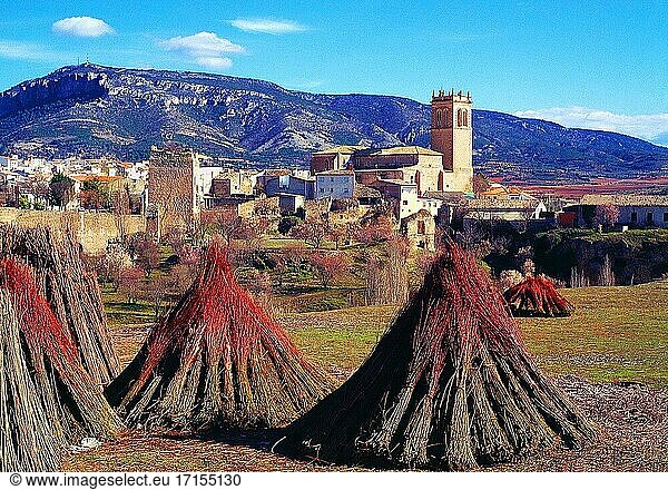Weidenbündel und Ansicht von Priego. Provinz Cuenca  Kastilien-La Mancha  Spanien.