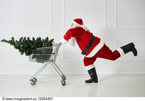 Weihnachtsmann beim Transport des Weihnachtsbaums im Einkaufswagen