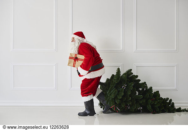 Weihnachtsmann mit Weihnachtsbaum und Geschenk