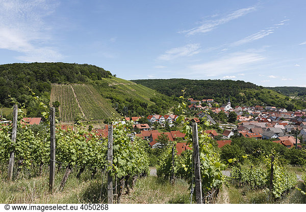 Weinberge in Ramsthal Rhön Unterfranken Bayern Deutschland Europa