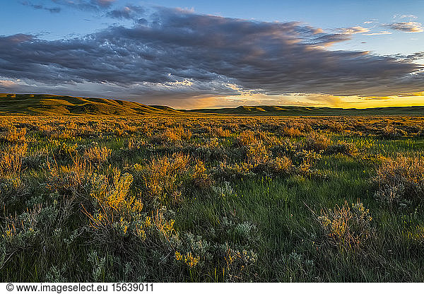 Weite Landschaft des Grasslands National Park bei Sonnenuntergang; Saskatchewan  Kanada