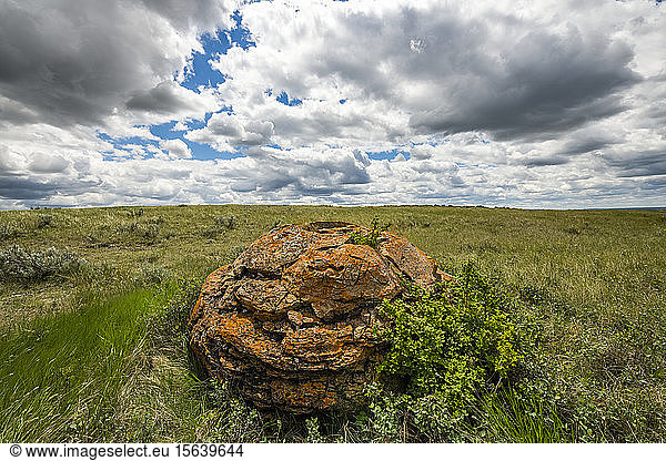 Weite Landschaft im Grasslands National Park; Val Marie  Saskatchewan  Kanada