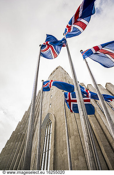 Weitwinkel einer grauen Betonkirche  Hallgrimskirkja und isländische Flaggen; Reykjavik  Reykjavik  Island