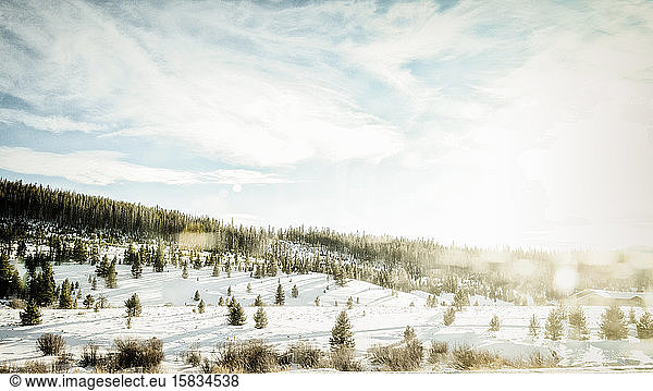 Weitwinkel mit Sonneneruption über sanften Hang mit Schnee und Bäumen