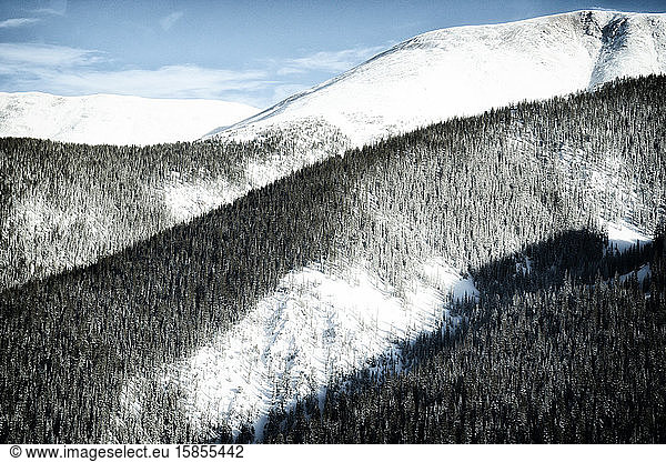 Weitwinkel schneebedeckter Berghänge mit Nadelbäumen