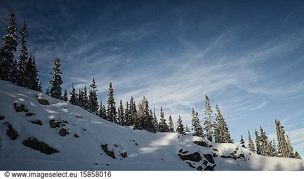 Weitwinkel von Sonne und Schatten auf Schnee und Bäumen am Berthoud-Pass