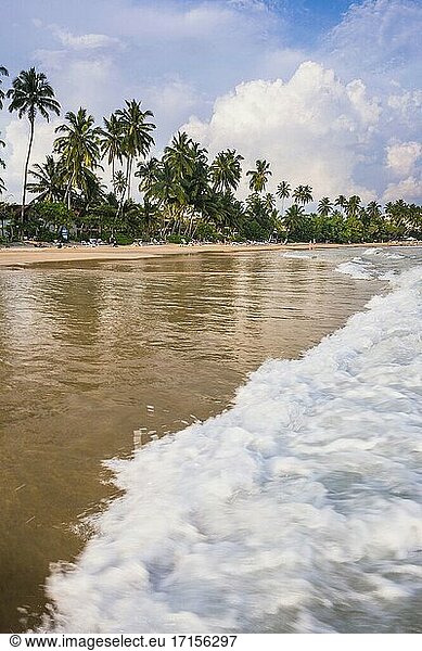 Wellen am Strand von Mirissa  Südküste von Sri Lanka  Asien