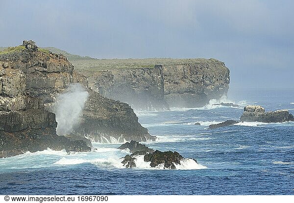 Wellen spritzen gegen Steilküste  Punta Suarez  Insel Española  Galapagos  Ecuador  Südamerika