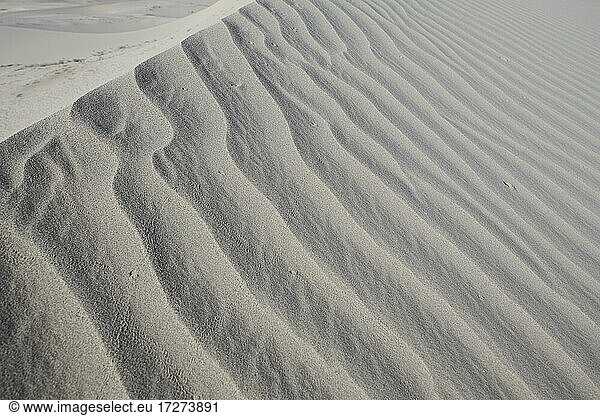 Wellenmuster auf dem weißen Sand der Cadiz-Dünen in der Mojave-Wüste  Südkalifornien  USA