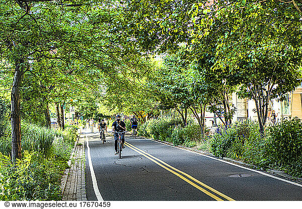 West Side Bicycle Lanes  New York City  New York  USA