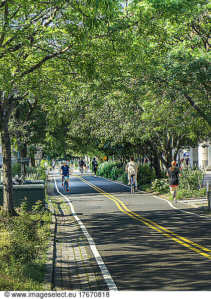 West Side Bicycle Lanes  New York City  New York  USA