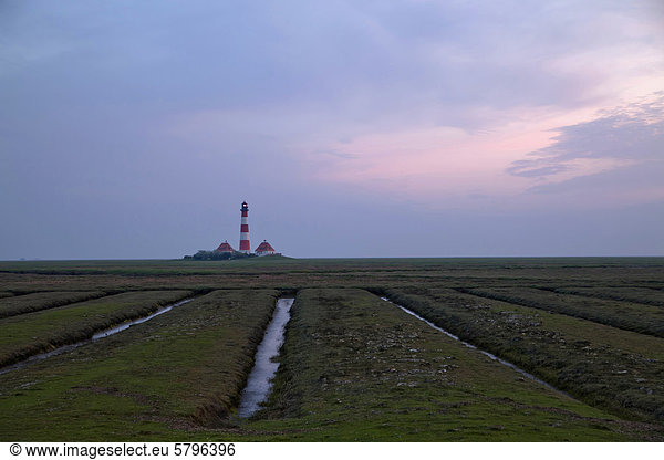 Westerheversand lighthouse and salt meadows at dusk  Westerhever  district of North Frisia  Schleswig-Holstein  Germany  Europe