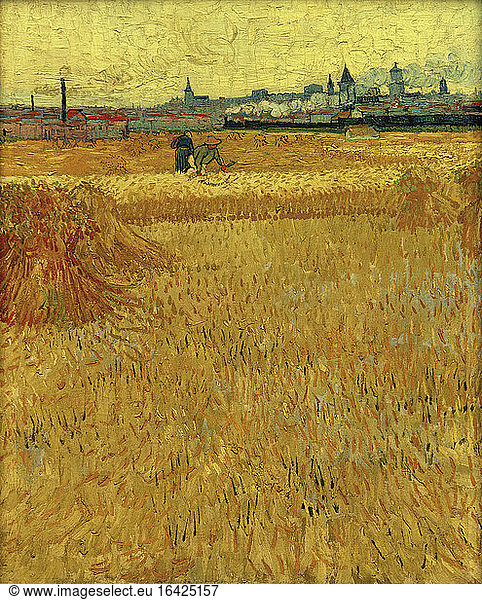 Wheat field with view of Arles