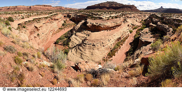 White Canyon  Einschnitt im Sandstein westlich des Natural Bridges National Monument  Canyonlands  Süd-Utah  Vereinigte Staaten von Amerika  Nordamerika