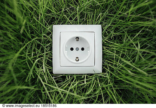 White electric socket on grass