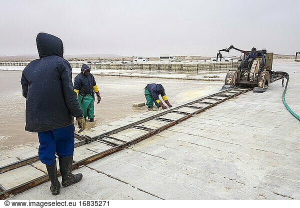 White Lady Salt Works  Cape Cross  Namibia.