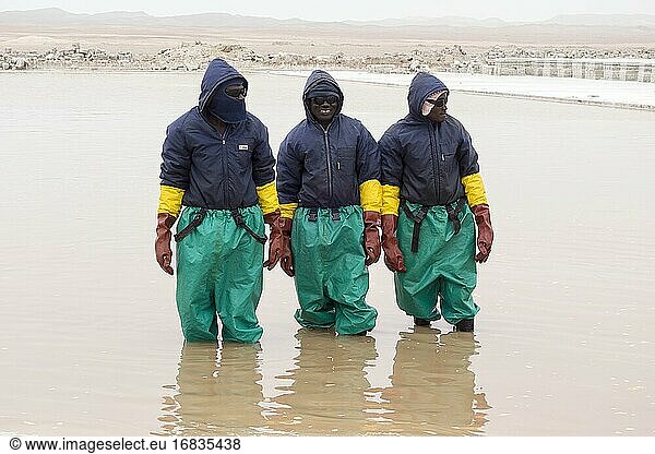White Lady Salt Works  Cape Cross  Namibia.