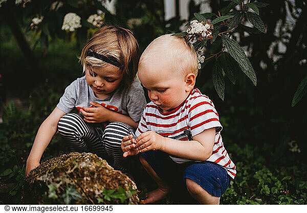 White male toddlers playing in nature discovering insects