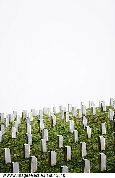 White tombstones in the San Francisco National Cemetery.