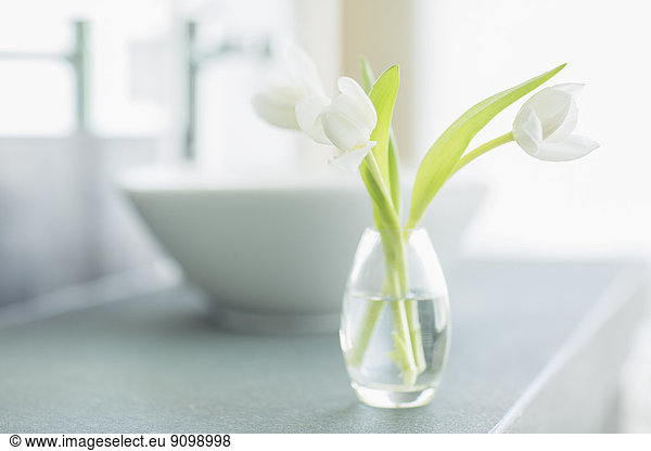 White tulips in bud vase in bathroom