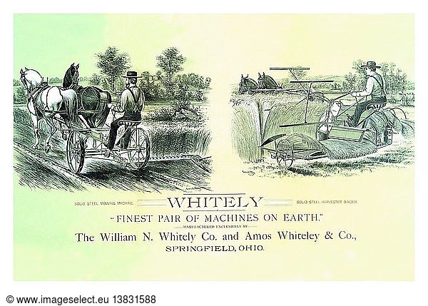 Whitely - Das schönste Maschinenpaar der Welt
