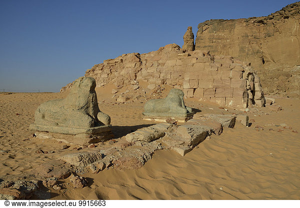Widder-Sphinxe des Amun-Tempels am Fuße des Gebel Barkal Karima Bundesstaat asch-Schamaliyya Nubien Sudan Afrika
