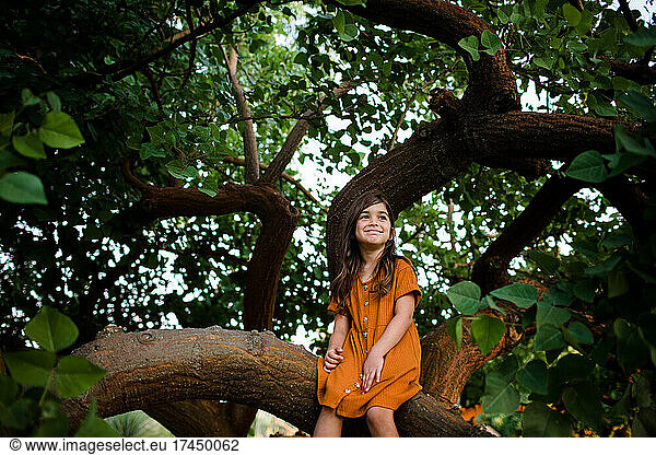 Wide Angle View of Young Girl in Orange Dress in Tree in San Diego