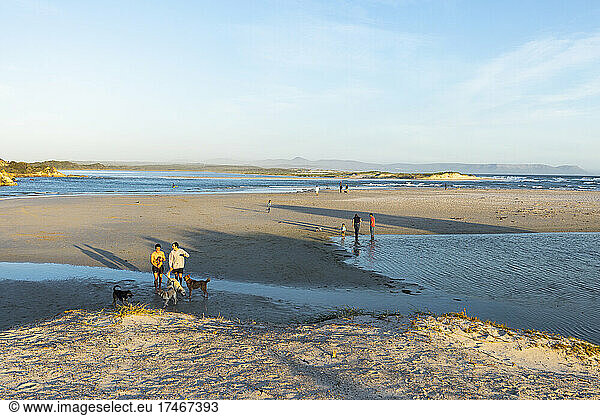 Wide sandy beach and water channels and dunes  people and dogs on the sand at sunset