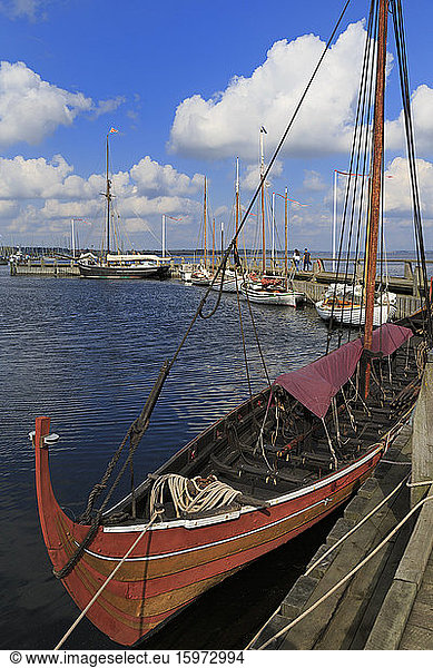 Wikingerschiffsmuseum  Roskilde  Seeland  Dänemark  Skandinavien  Europa