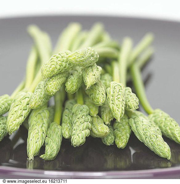 Wild asparagus  close-up