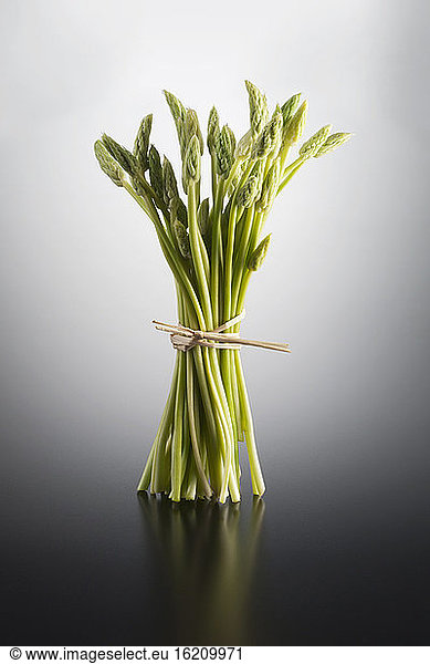 Wild asparagus on coloured background  close up