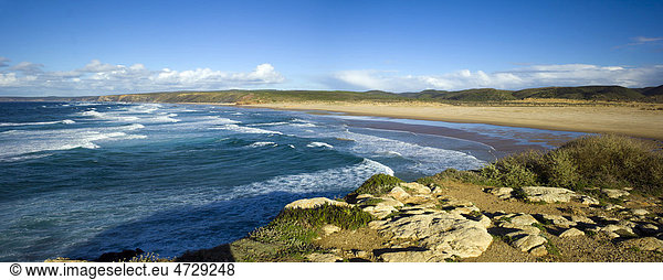 Wilde Küstenlandschaft  Strand  Playa de Carrapateira  Parque Natural do Sudoeste Alentejano e Costa Vicentinantinantina  Algarve  Portugal  Europa