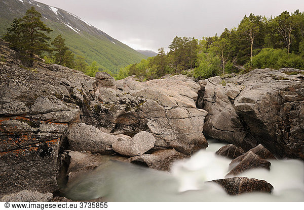 Wilder Fluss Driva im Nationalpark Dovrefjell  Norwegen  Skandinavien  Europa