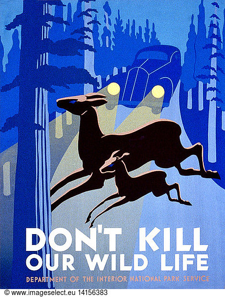Wildlife Protection  FAP Poster  1940