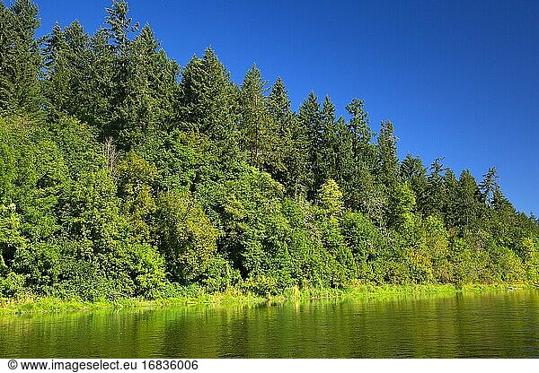 Willamette River  Willamette River Greenway  Marion County  Oregon.