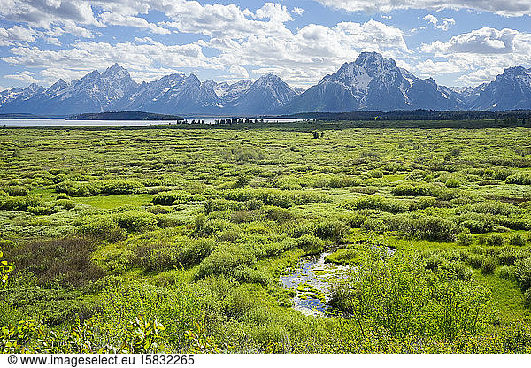 Willow Flats with Teton Range and Jackson Lake in the distance